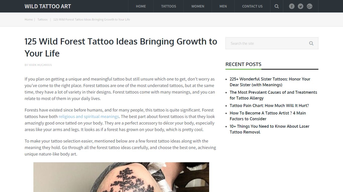 125 Wild Forest Tattoo Ideas Bringing Growth to Your Life